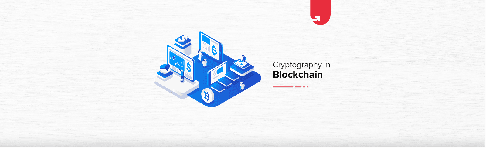 Cryptography in Blockchain: Types &#038; Applications [2024]