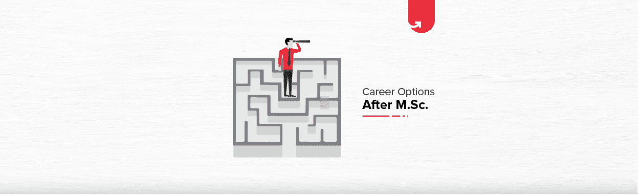 Career Options After M.Sc: What To Do After M.Sc in 2024
