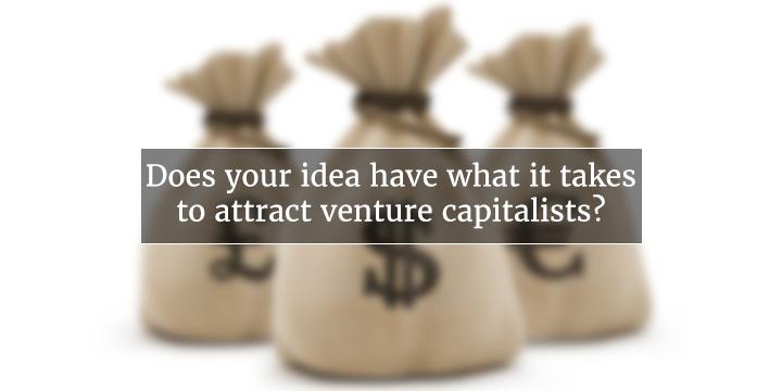 What Do Venture Capitalists Look For When Investing in a Startup?