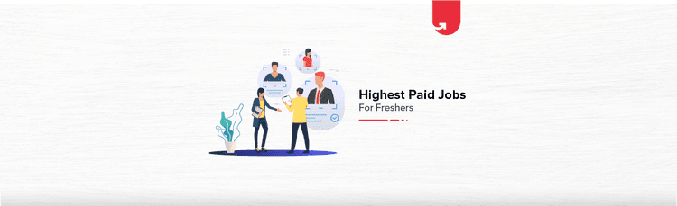 Top 12 Highest Paid Jobs in India for Freshers 2024 [A Complete Guide]