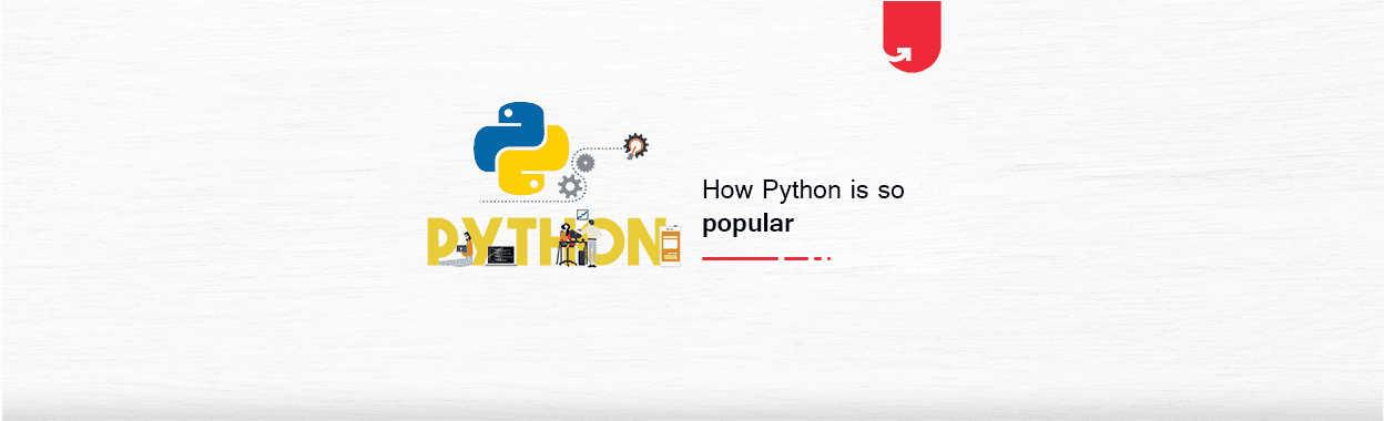 Top 10 Reasons Why Python is So Popular With Developers in 2024