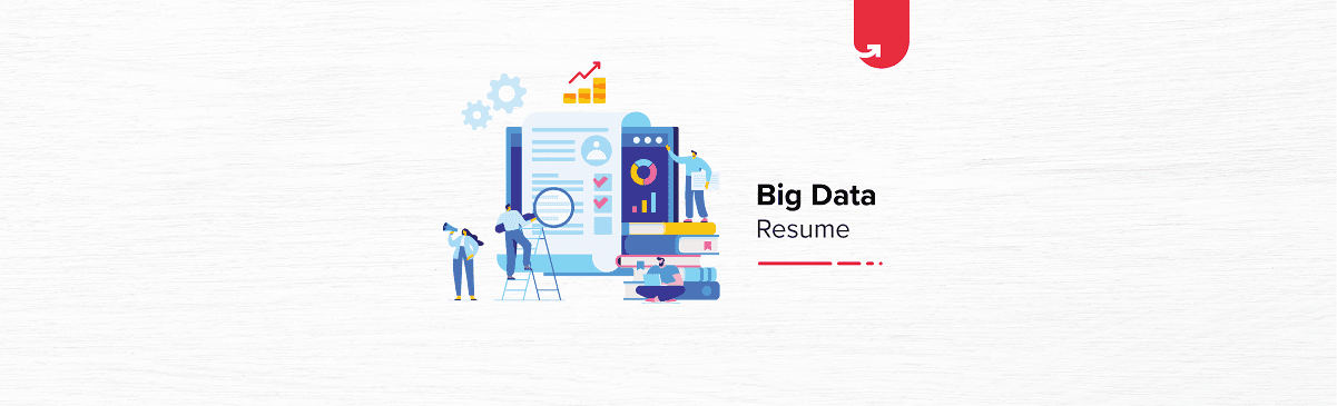 Big Data Resume: Complete Guide &#038; Samples [2024]