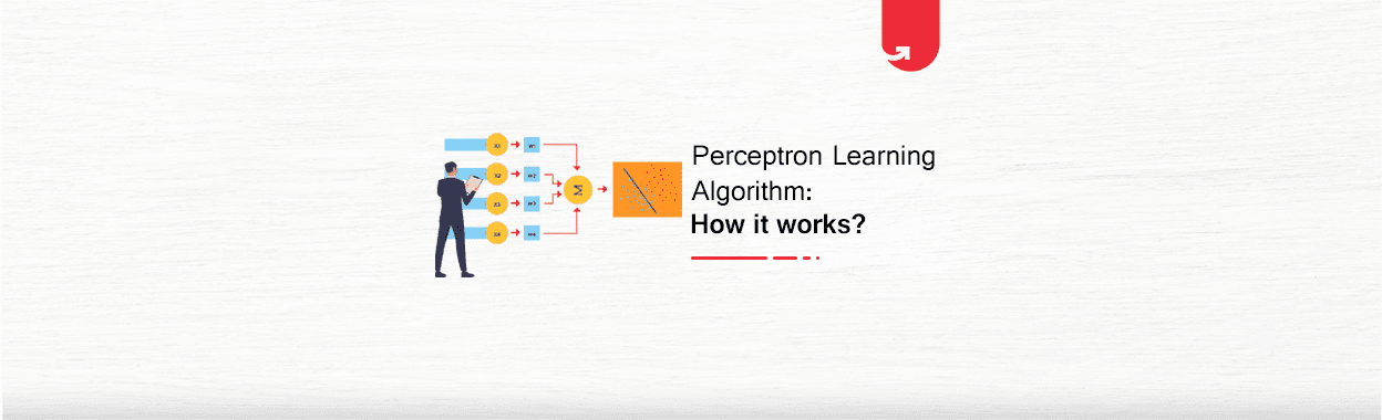 Perceptron Learning Algorithm: How it works?