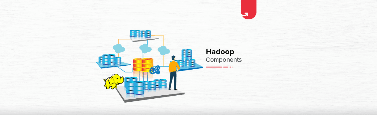Hadoop Ecosystem &#038; Components: Comprehensive Tutorial 2023