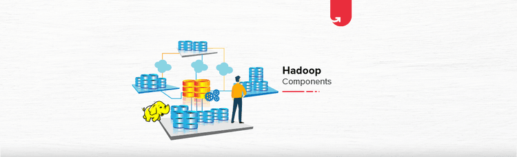 Hadoop Ecosystem &#038; Components: Comprehensive Tutorial 2024