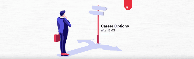 Career Options After BMS: What to do After BMS? [2024]