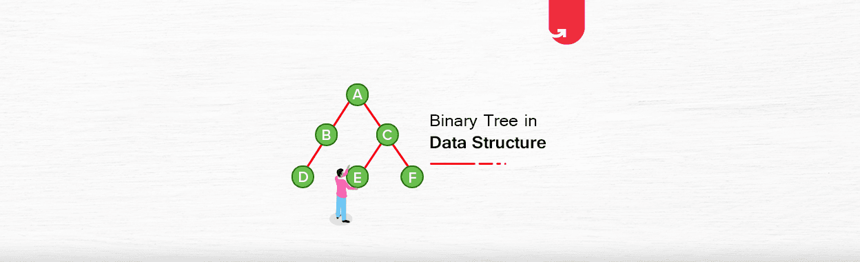 Binary Tree in Data Structure: Properties, Types, Representation &#038; Benefits