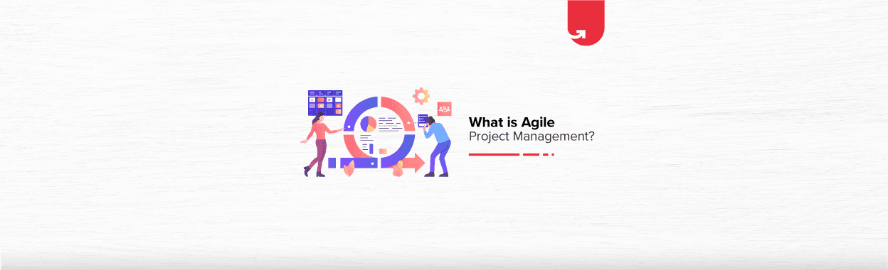 What is Agile Project Management? Everything You Need to Know