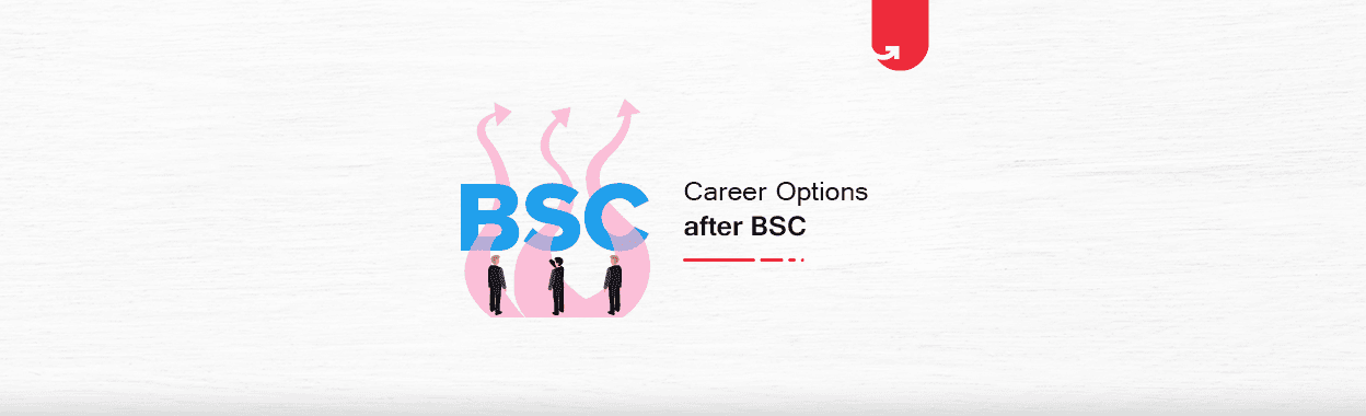 8 Best Career Options after BSC: What to do After B.Sc? [2023]
