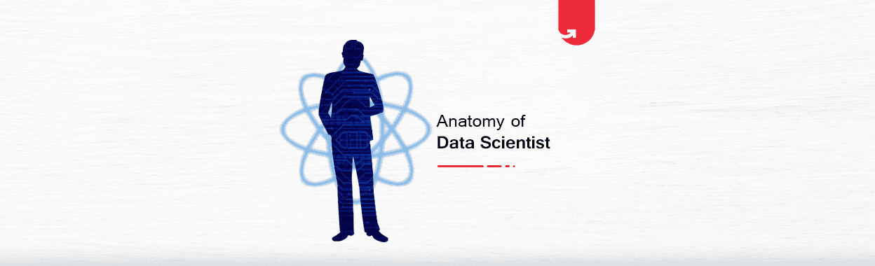 The Anatomy of a Data Scientist [Infographics]