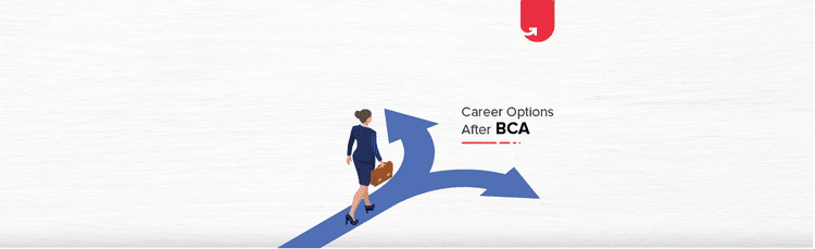 7 Best Career Options After BCA: What To Do After BCA? [2023]