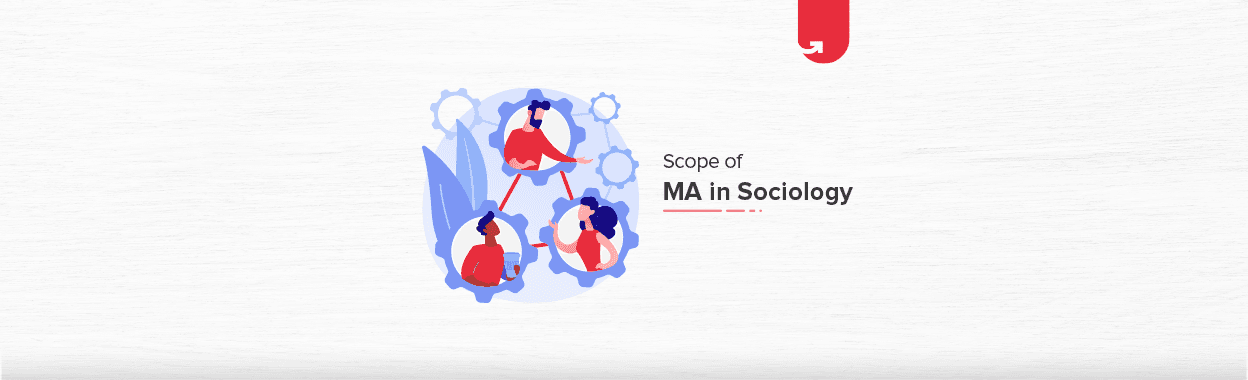 Scope of MA in Sociology: Career Opportunities &#038; Top Job Roles [2024]