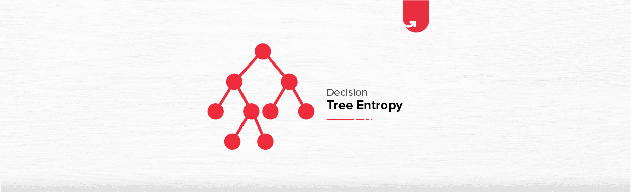 Understanding the Decision Tree Entropy in Machine Learning