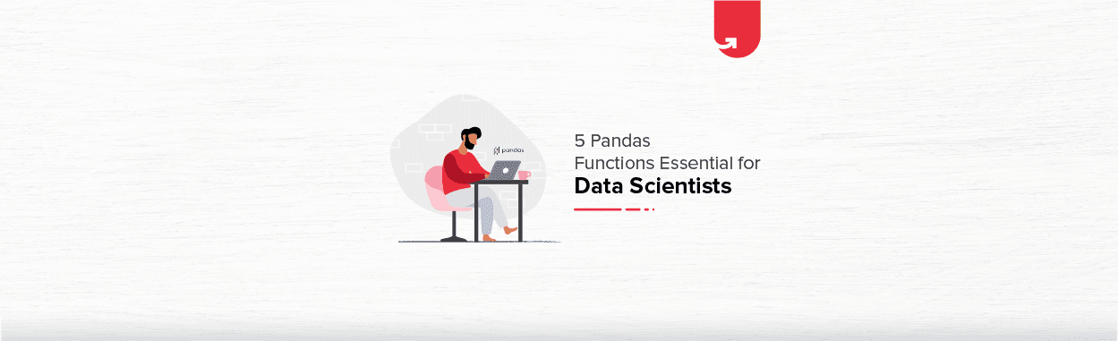 Top 5 Pandas Functions Essential for Data Scientists [2024]