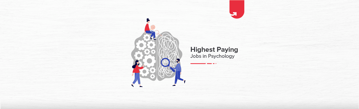 Top 10 Highest Paying Jobs in Psychology in India [2024]