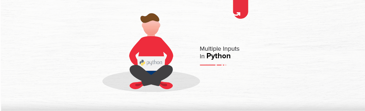 Multiple Inputs From User in Python | Python Input Program