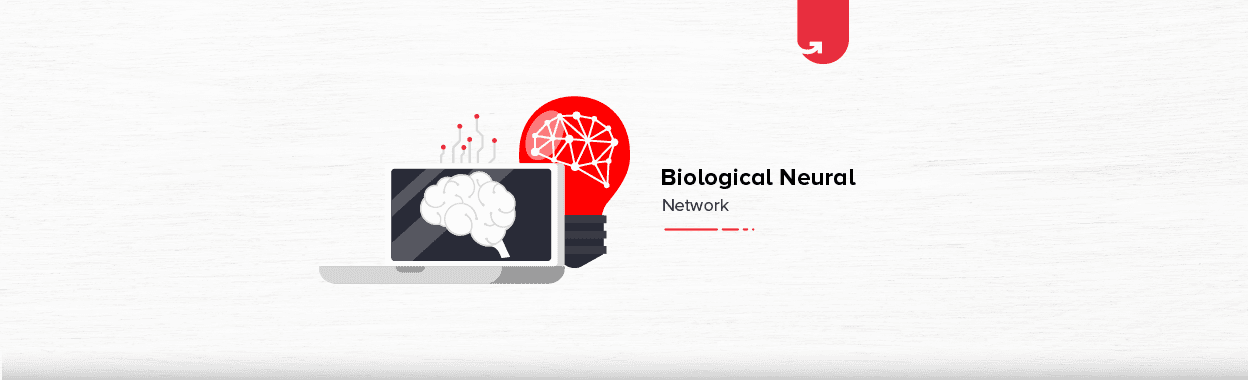 Biological Neural Network: Importance, Components &#038; Comparison