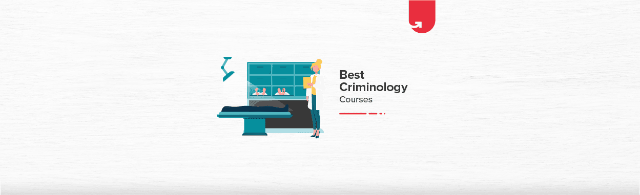 7 Best Online Criminology Courses to Improve Your Career in 2024