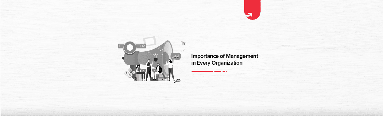 Importance of Management in Every Organisation &#8211; [A Complete Guide]