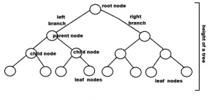binary tree in data structure