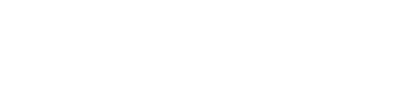 MSc International Business Management with Professional Practice