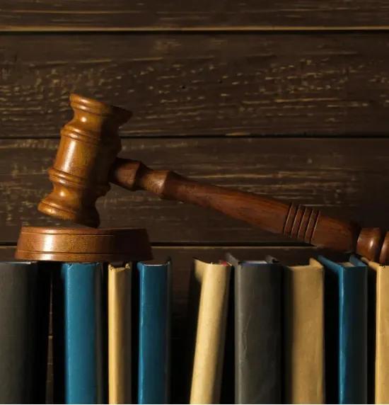 Free Course in Constitutional Litigation