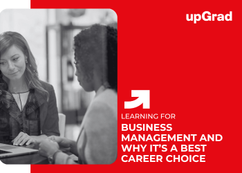 What Is Business Management and Why It’s a Great Career Choice