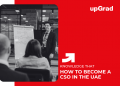 How to Become a CSO in the UAE