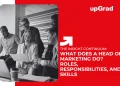What Does a Head of Marketing Do Roles, Responsibilities, and Skills