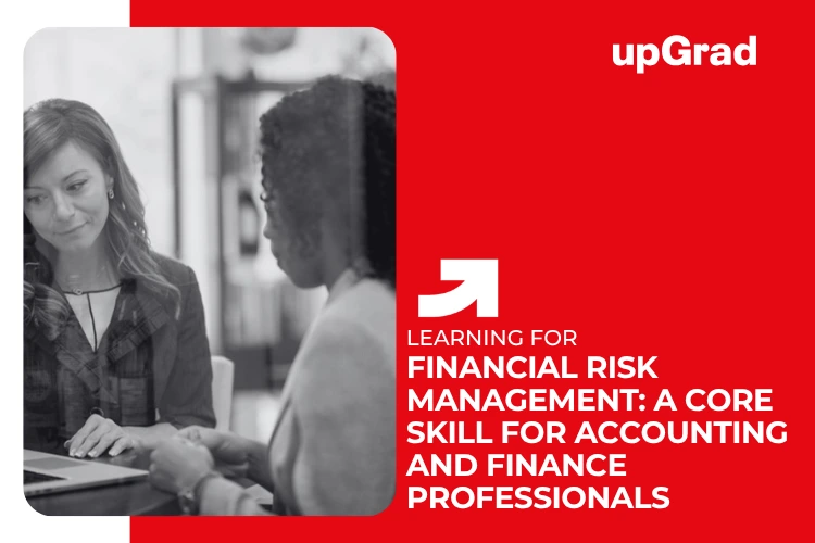 financial risk management for accounting and finance professionals