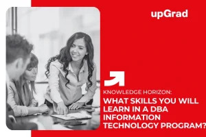 What Skills You Will Learn in a DBA Information Technology Program?
