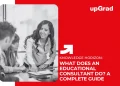 what does an educational consultant do