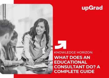 what does an educational consultant do