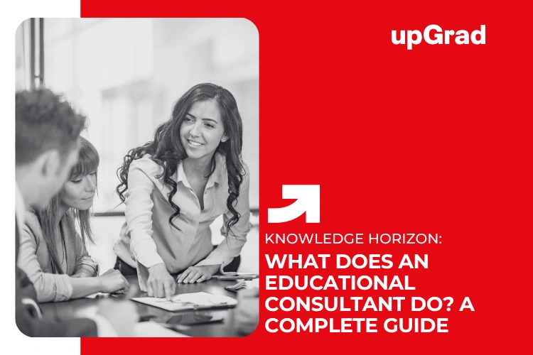 what does an educational consultant do
