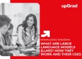 large language models