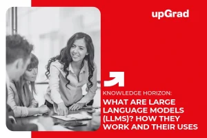 What Are Large Language Models (LLMs)? How They Work and Their Uses