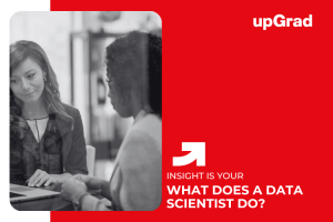 What Does a Data Scientist Do​? Roles & Key Responsibilities