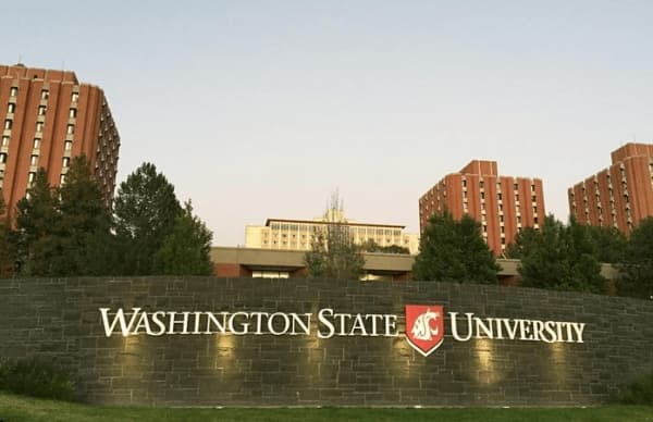 BS Mechanical Engineering at WSU, USA