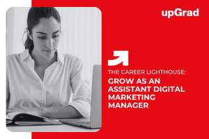 The Assistant Digital Marketing Manager: Job Description and Career Development