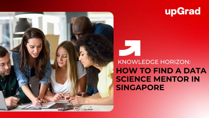 How to Find a Data Science Mentor in Singapore