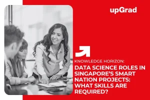 Data Science Roles in Singapore’s Smart Nation Projects: What Skills Are Required?