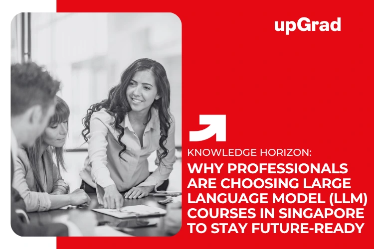 llm course in singapore