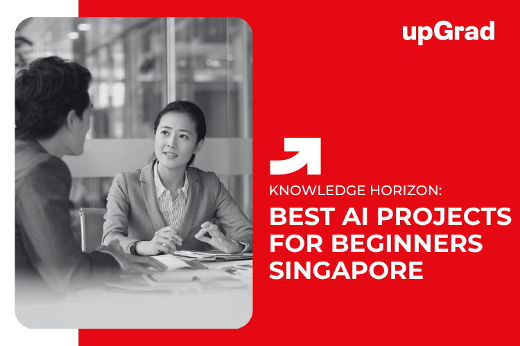 Best AI Projects for Beginners Singapore