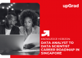 Data Analyst to Data Scientist Career Roadmap in Singapore