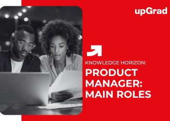Product Manager: Main Roles