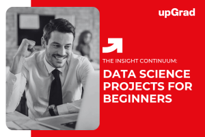 Innovative Data Science Project Ideas For Beginners