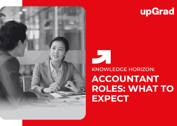 Accountant Roles: What to Expect