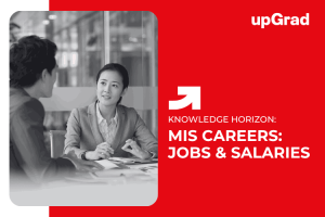 Exploring Careers in Management Information Systems: Jobs and Salaries