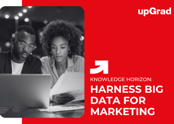 Harness Big Data for Marketing