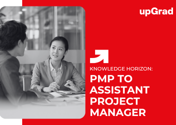 PMP to Assistant Project Manager